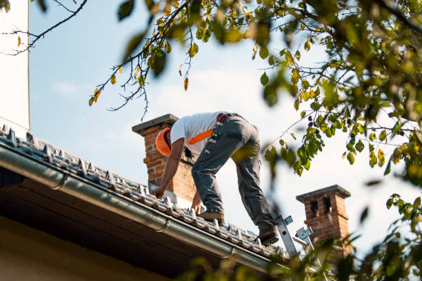 Best Roof Restoration Services  in Franklinville, NC