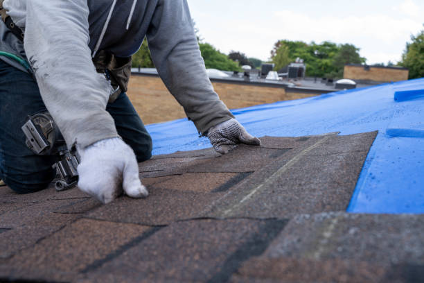 Best Affordable Roof Replacement  in Franklinville, NC