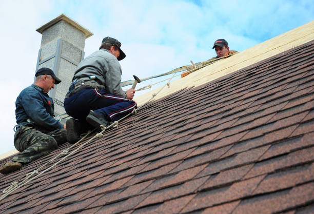 Best Roof Restoration Services  in Franklinville, NC